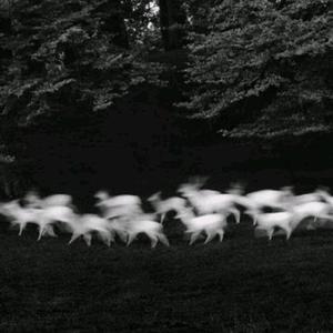 国产精品成人AV在线观看
