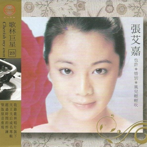 国产精品成人AV在线观看
