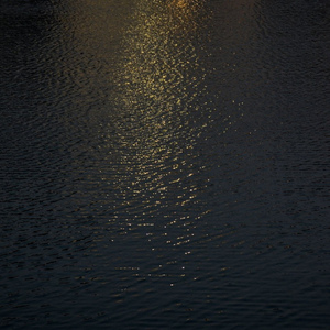 国产精品成人AV在线观看
