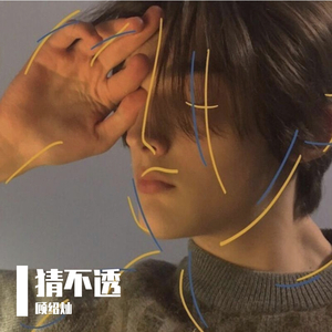 国产精品成人AV在线观看
