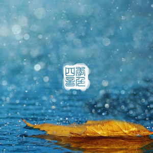 国产精品成人AV在线观看
